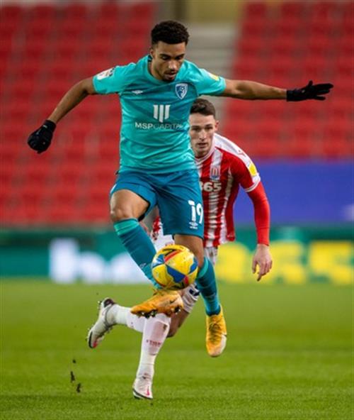 Ultimate Guide to MMA Sports Betting